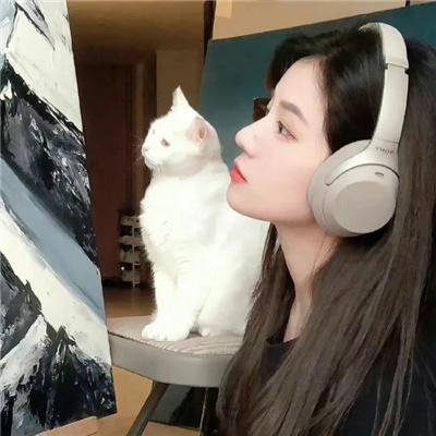 经典好剧